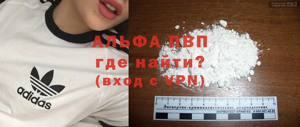 не бодяженный Бородино