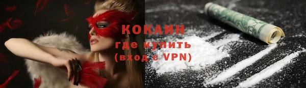 не бодяженный Бородино