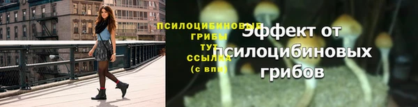 не бодяженный Бородино