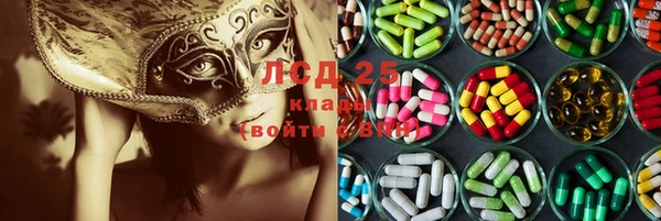 не бодяженный Бородино