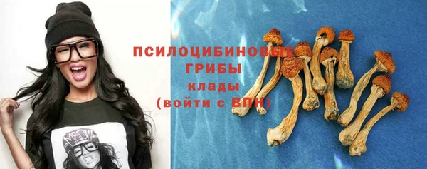 сатива Бугульма