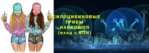 сатива Бугульма